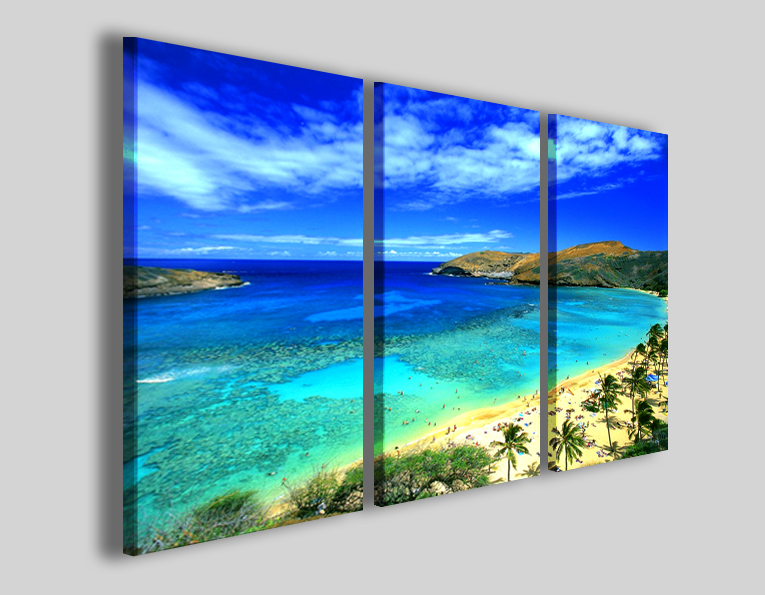 QUADRO MODERNO SEA SHELL STAMPA SU TELA QUADRI MODERNI PAESAGGIO MARE CONCHIGLIA